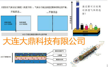 SR空壓機(jī)后處理干燥設(shè)備-SR滲膜式干燥管工作原理圖