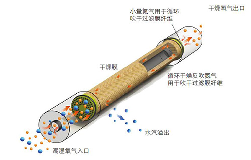 SR醫(yī)療制氧機用精密氧氣干燥膜的工作原理